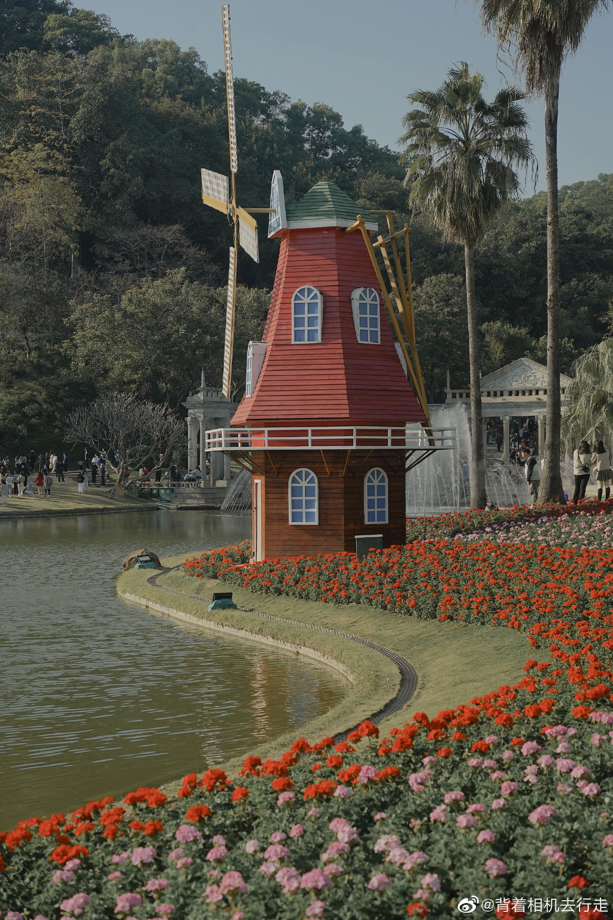 十万株郁金香绽放的浪漫93 99广州·云台花园