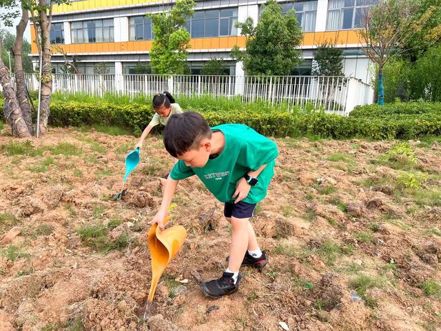 “让孩子们拥有幸福生活的能力”江苏各地中小学的劳动课“热火朝天”进行时休闲区蓝鸢梦想 - Www.slyday.coM “让孩子们拥有幸福生活的能力”江苏各地中小学的劳动课“热火朝天”进行时休闲区蓝鸢梦想 - Www.slyday.coM