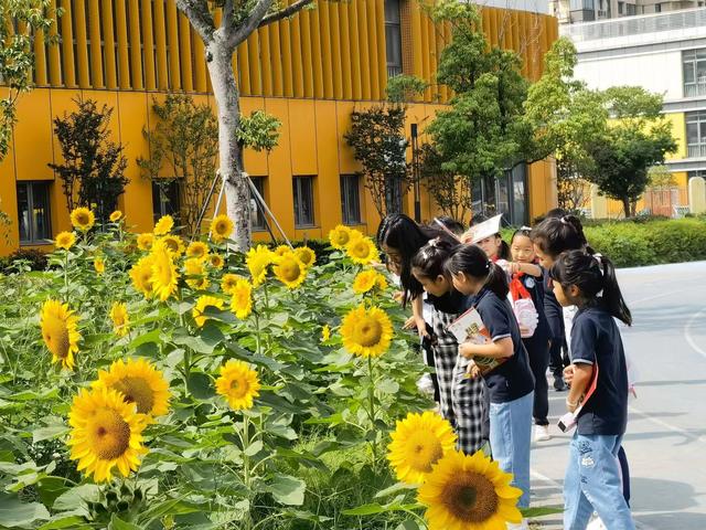 “让孩子们拥有幸福生活的能力”江苏各地中小学的劳动课“热火朝天”进行时休闲区蓝鸢梦想 - Www.slyday.coM “让孩子们拥有幸福生活的能力”江苏各地中小学的劳动课“热火朝天”进行时休闲区蓝鸢梦想 - Www.slyday.coM