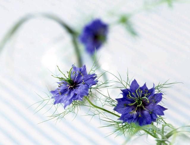 擅长降低存在感的巨蟹座,在生活中的底气到底是什么?休闲区蓝鸢梦想 - Www.slyday.coM