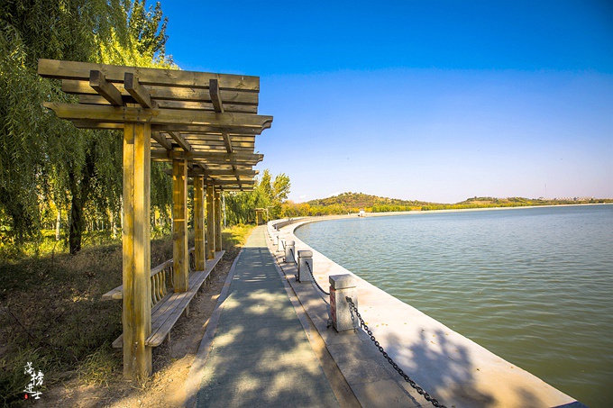 山东茌平金牛湖,门票免费,环境优美,是人们休闲的好去处