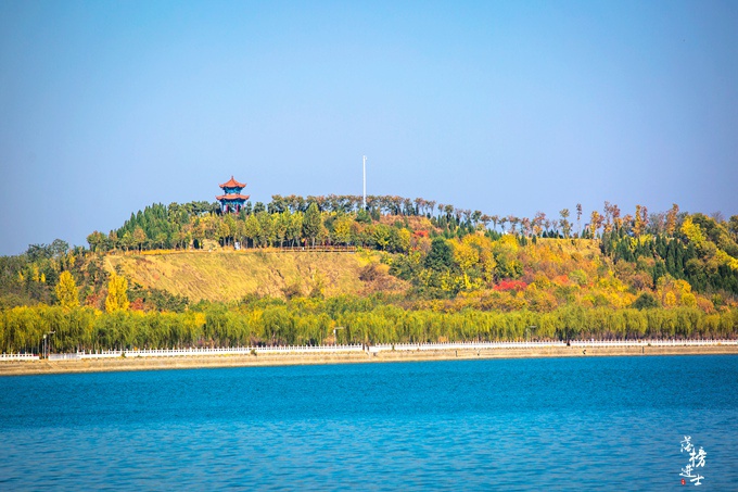 山东茌平金牛湖,门票免费,环境优美,是人们休闲的好去处