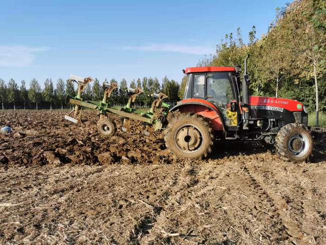 辽宁锦州农民直补多少钱 水稻田承包和征收手续介绍