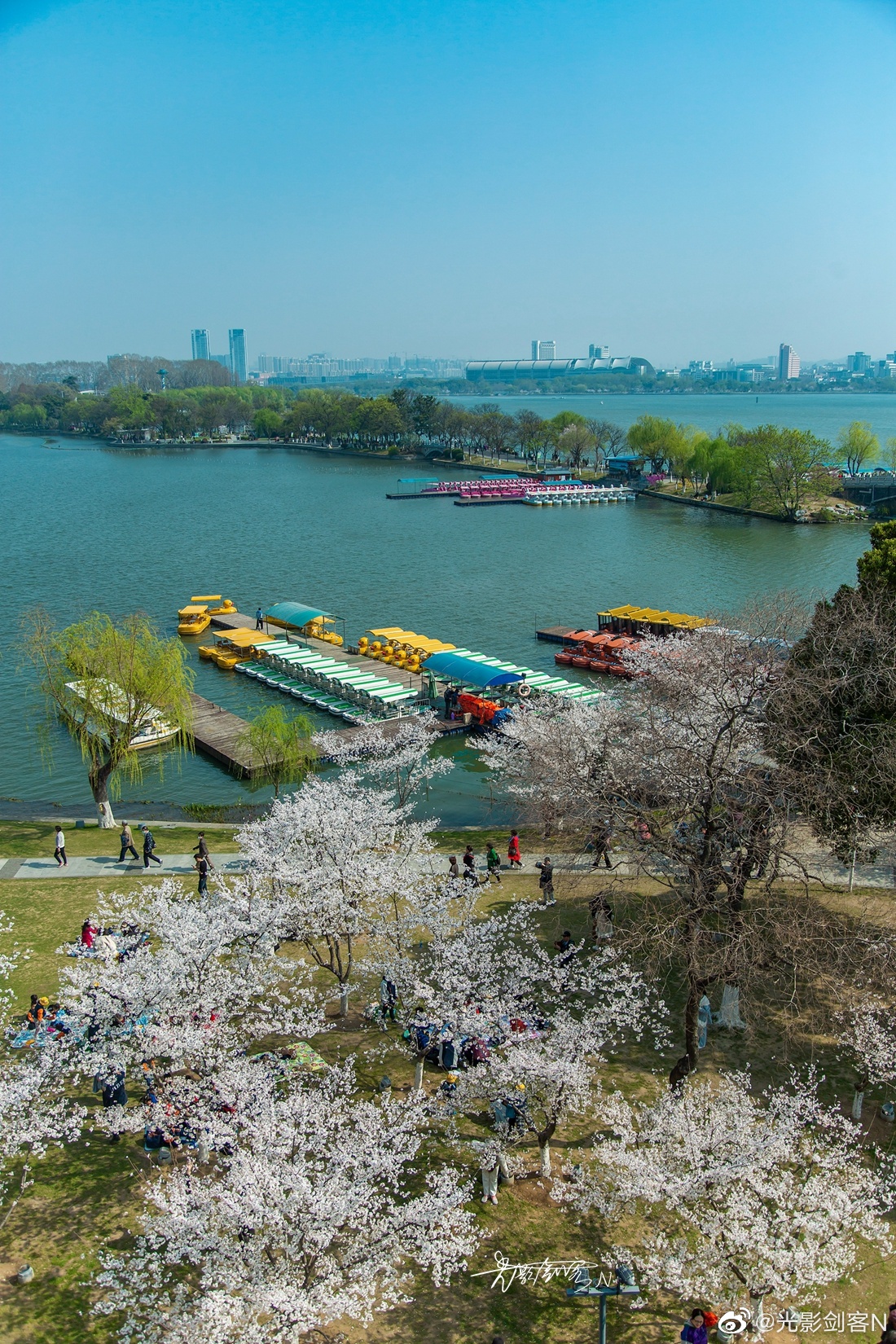 三月,极美南京:明城墙·樱花