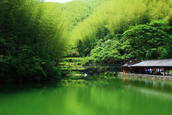 安徽木坑竹海,不要太美腻!