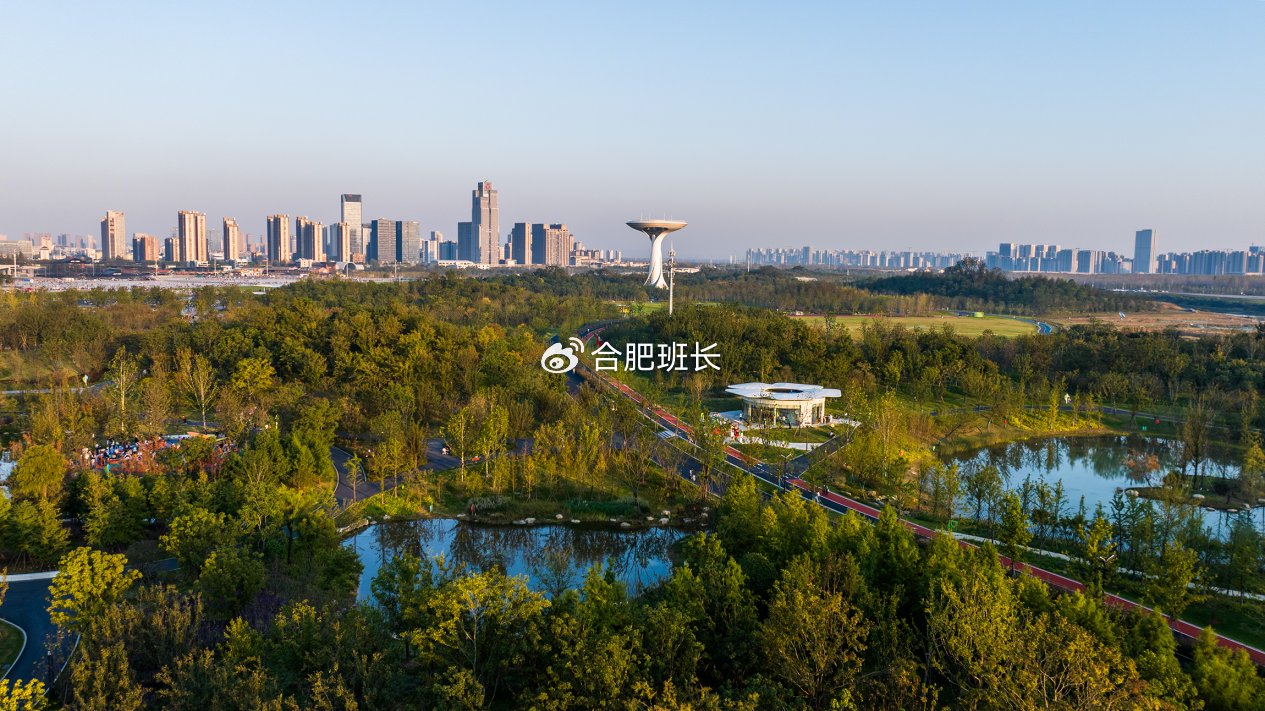 汇总,合肥最新的购房政策!|合肥市|新房|限购|住房|房地产调控_新浪新闻
