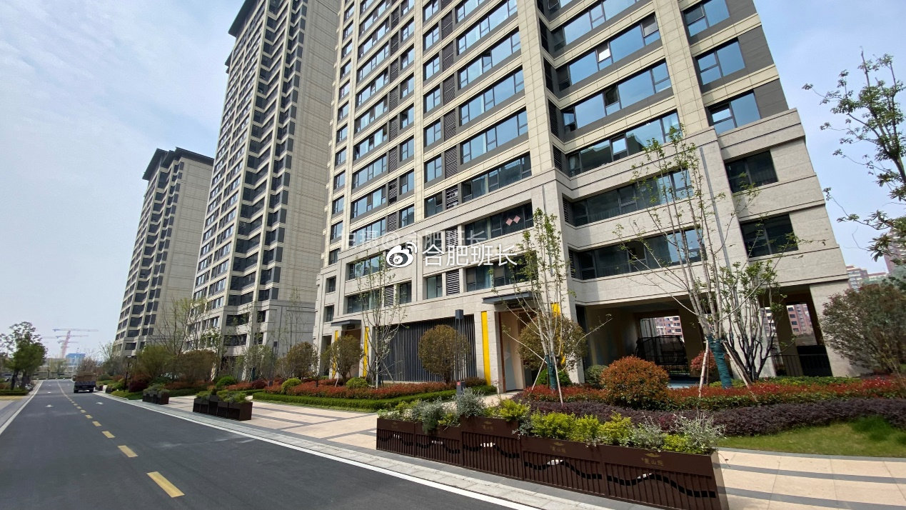 被罚两年不能拿地的金鹏,高新区金鹏麓山院交付品质如何?__财经头条