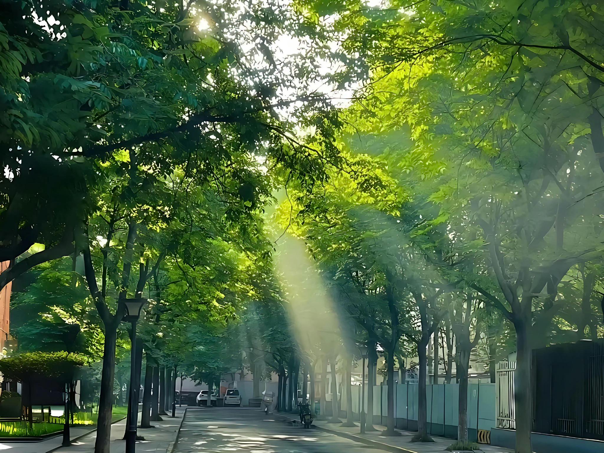 男得有爱下载