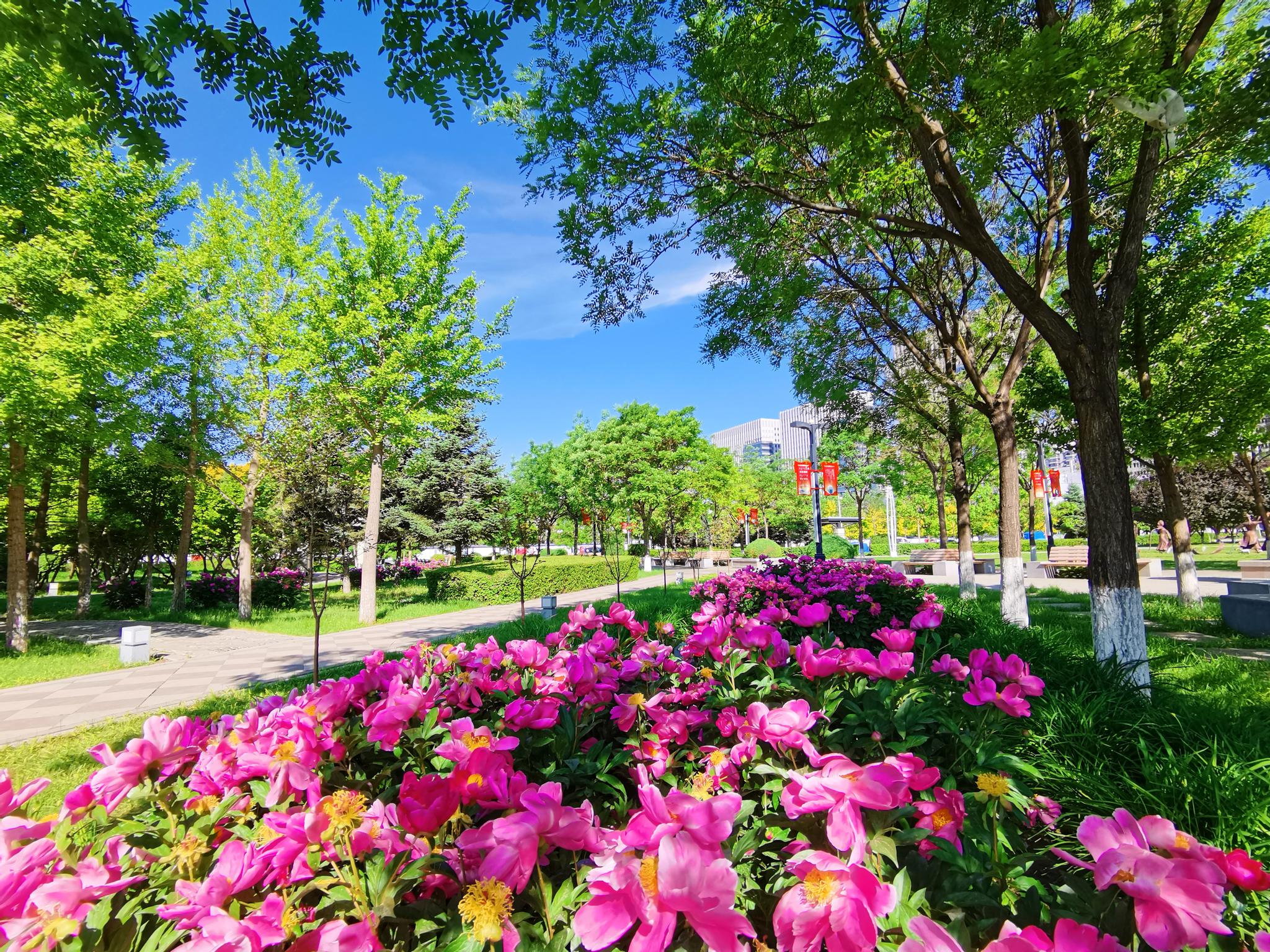通辽市新城区市府广场风景如画