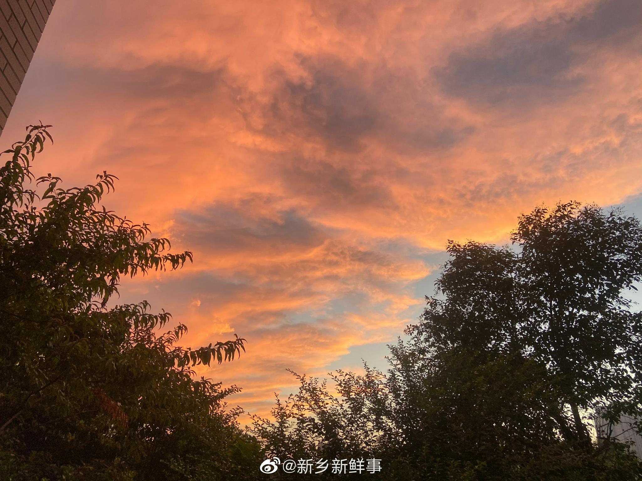 今天的晚霞,也太美了趴