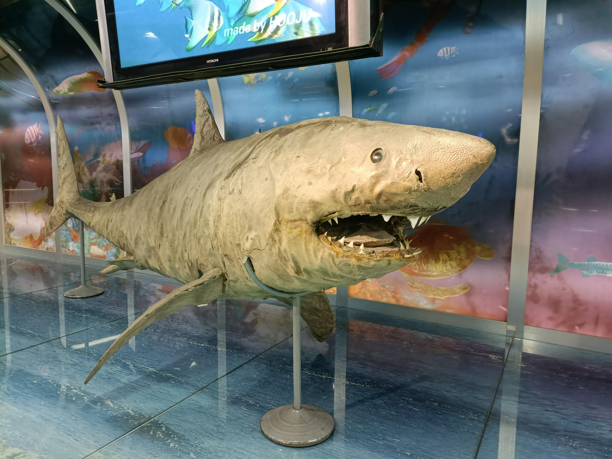 看到这个话题，第一感觉是不太能理解，隔夜的死螃蟹为啥不能吃？休闲区蓝鸢梦想 - Www.slyday.coM