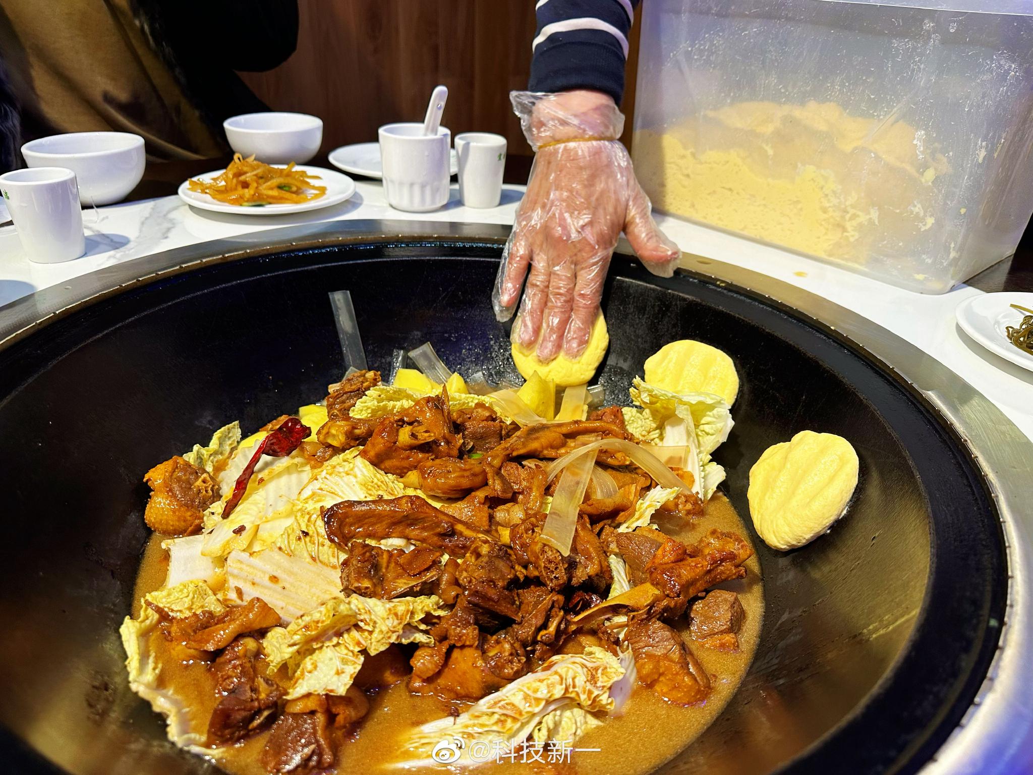 东北铁锅炖大鹅太爽了