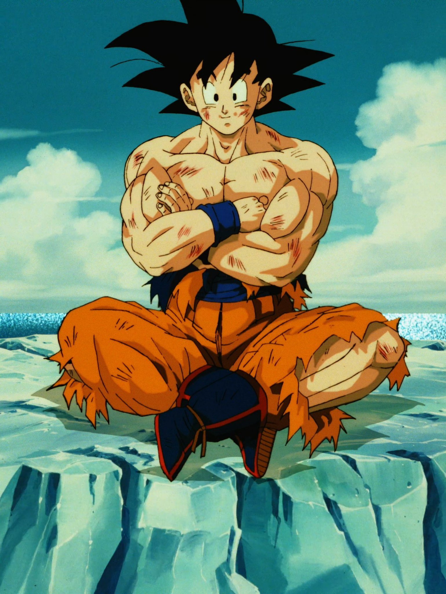 龙珠z动漫 新浪网