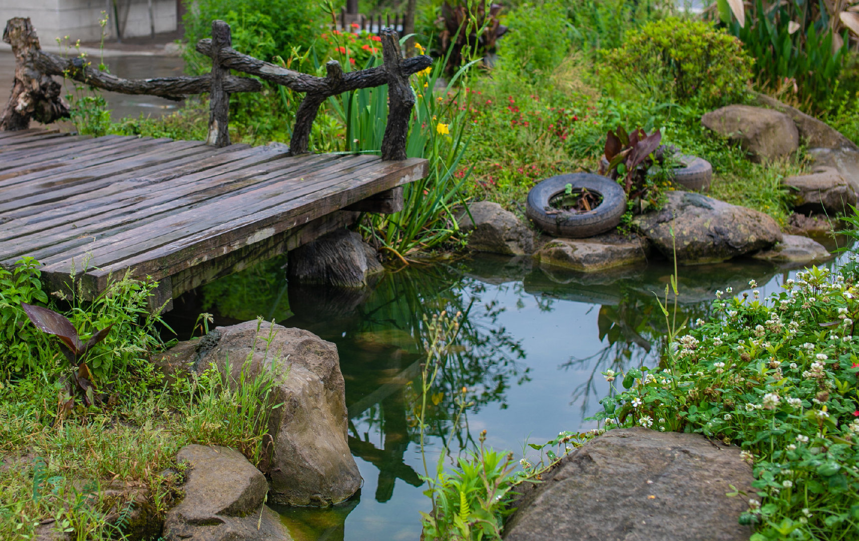 不输奉节,三峡橘乡的田园生活让人神往!