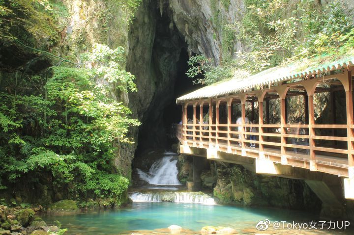秋芳洞 山口県山口县的秋芳洞是日本规模最大的钟乳洞 秋芳洞 山口県山口县的秋芳洞是日本规模最大的钟乳洞