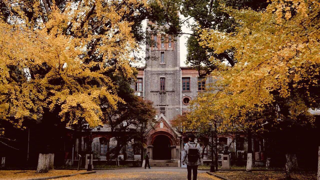 美丽的苏州大学诚实善良陈同学