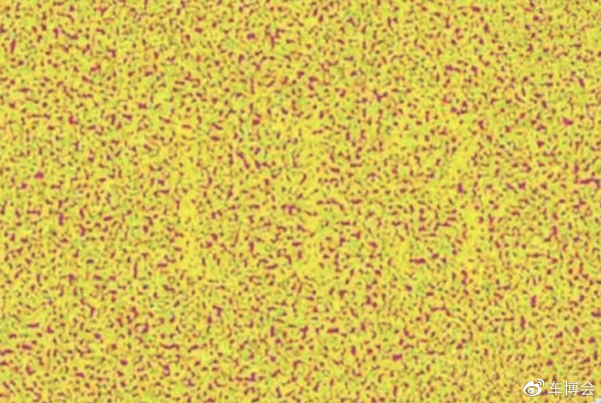 最新高难度色盲图,普通人一张也看不出来,全认出的能当飞行员!