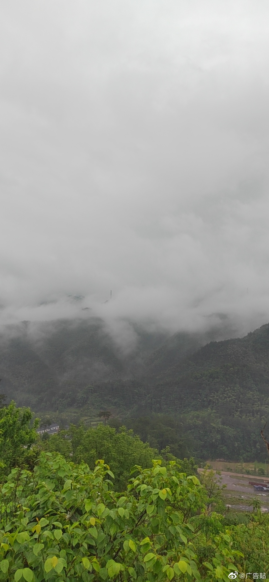 雨后的白云山云雾缭绕