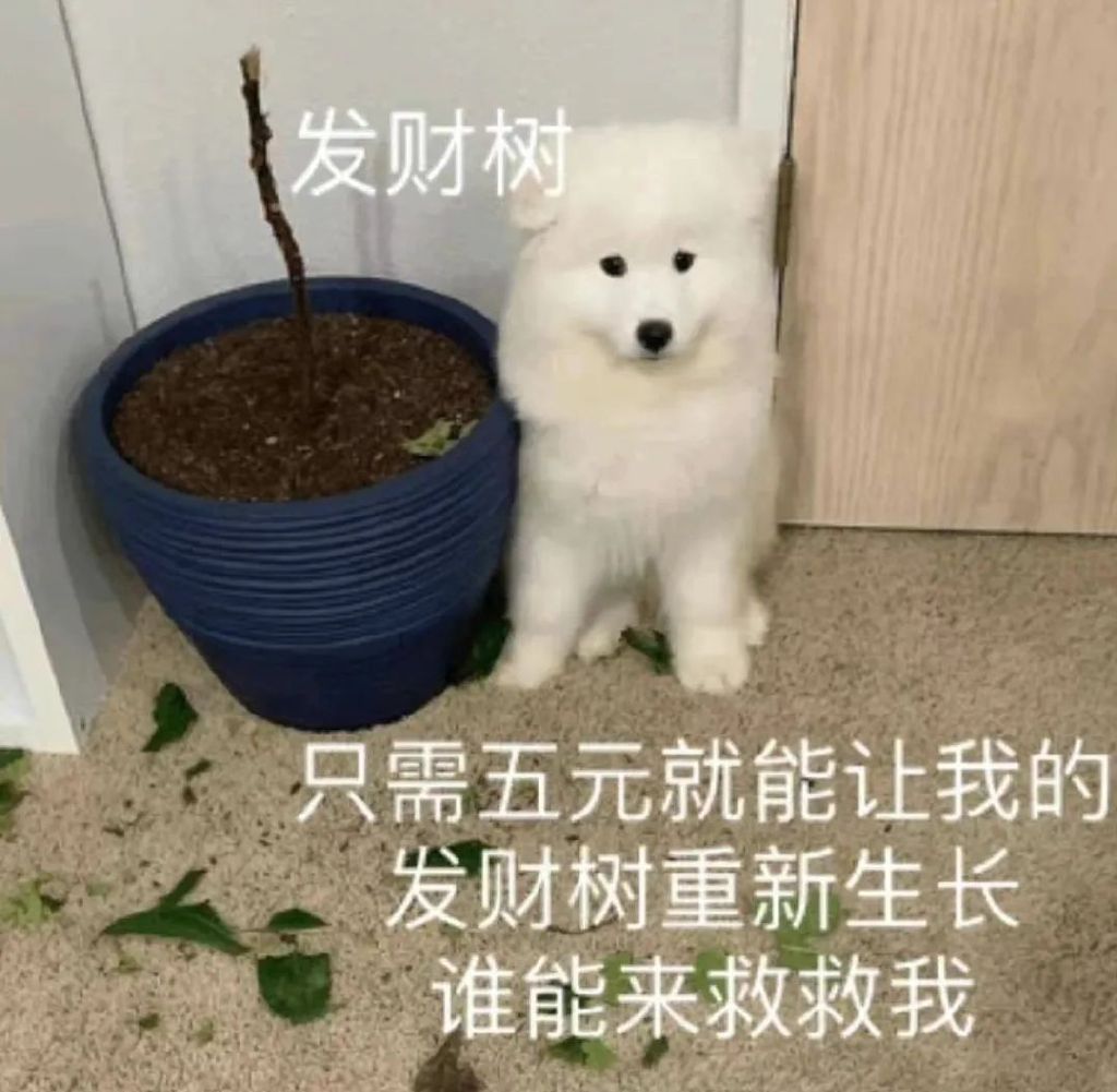 我也不想被钓诶,可是谁能拒绝穿镂空上衣的美式复古辣妹呢?休闲区蓝鸢梦想 - Www.slyday.coM 我也不想被钓诶,可是谁能拒绝穿镂空上衣的美式复古辣妹呢?休闲区蓝鸢梦想 - Www.slyday.coM