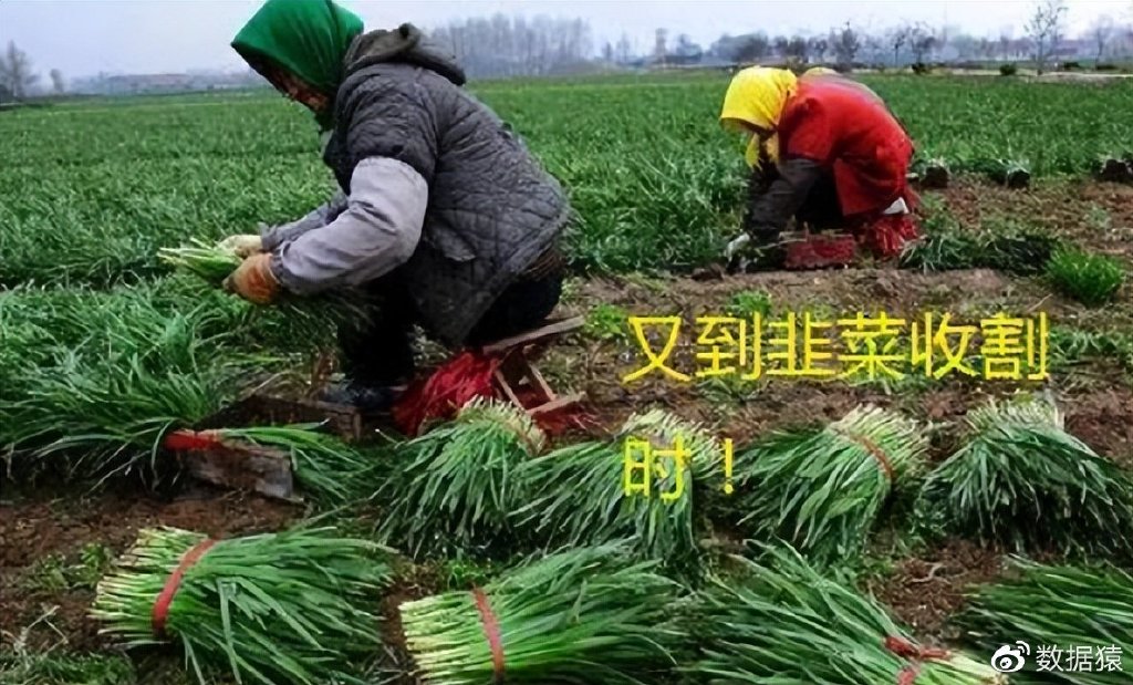 chatgpt会是新的割韭菜利器么?