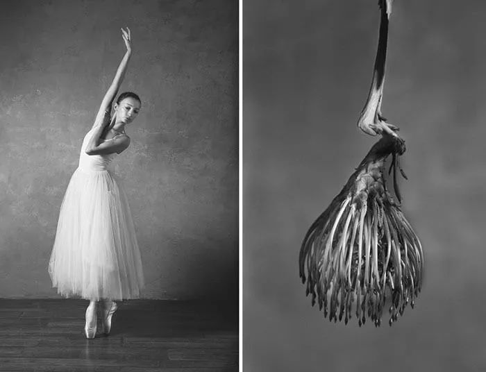 10组黑白照片诠释了舞蹈女孩如花般绽放的样子真是美极了