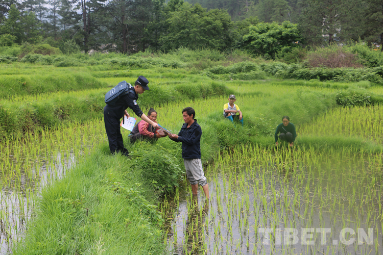 西藏林芝：“背包民警”的“十二时辰”休闲区蓝鸢梦想 - Www.slyday.coM