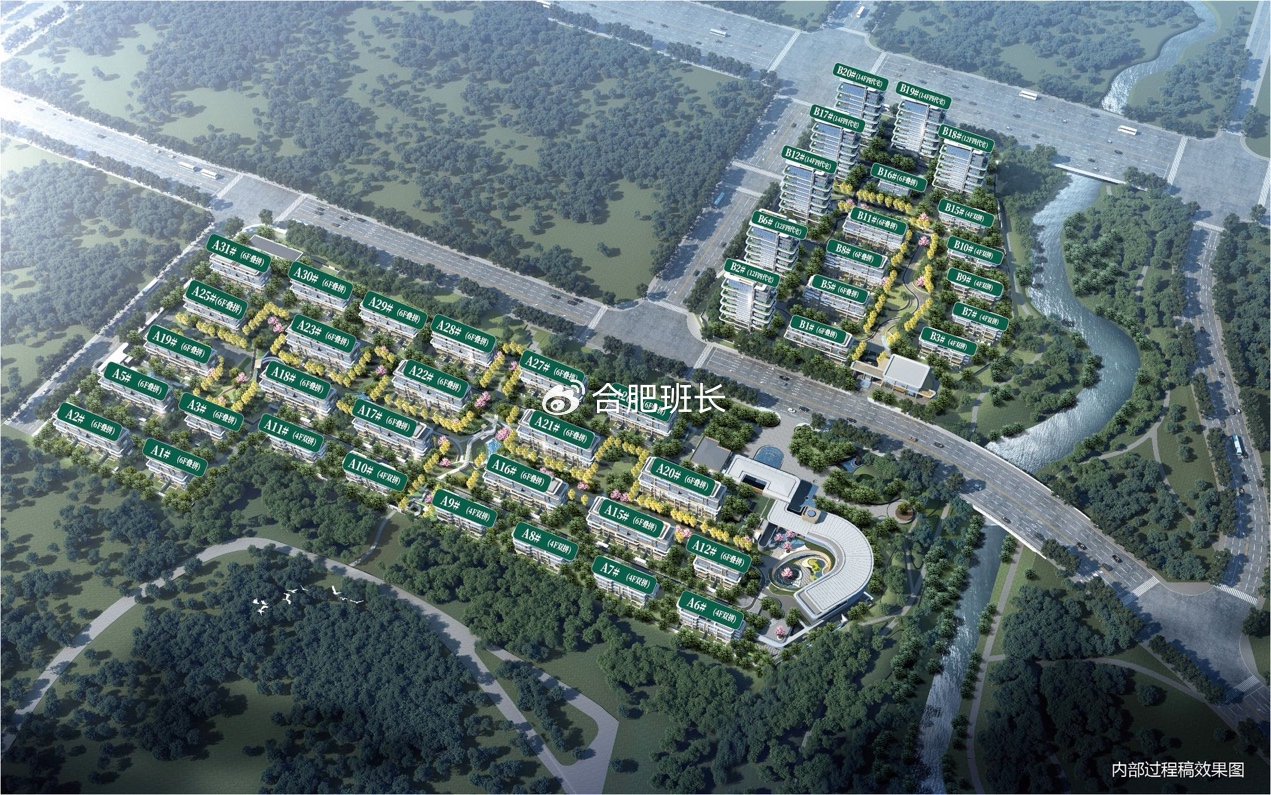 合肥新房,有哪些新计容别墅可买?|合肥市|地块|容积率|低密|叠墅_新浪新闻