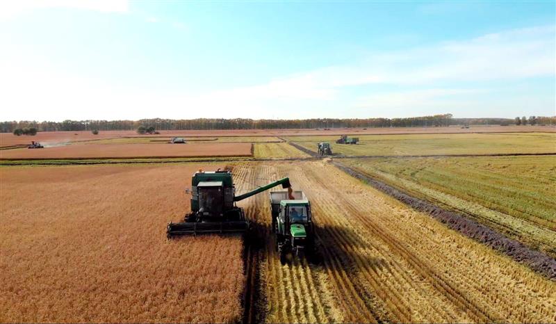 北大荒普阳农场有限公司全面完成47.