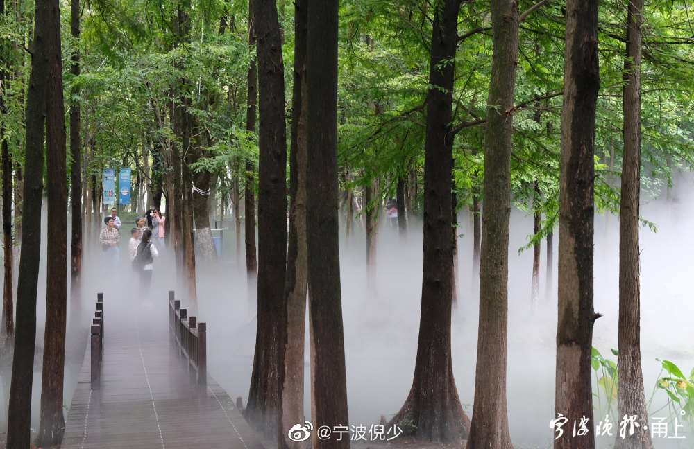 宁波日湖公园森林氧吧宛如仙境__财经头条