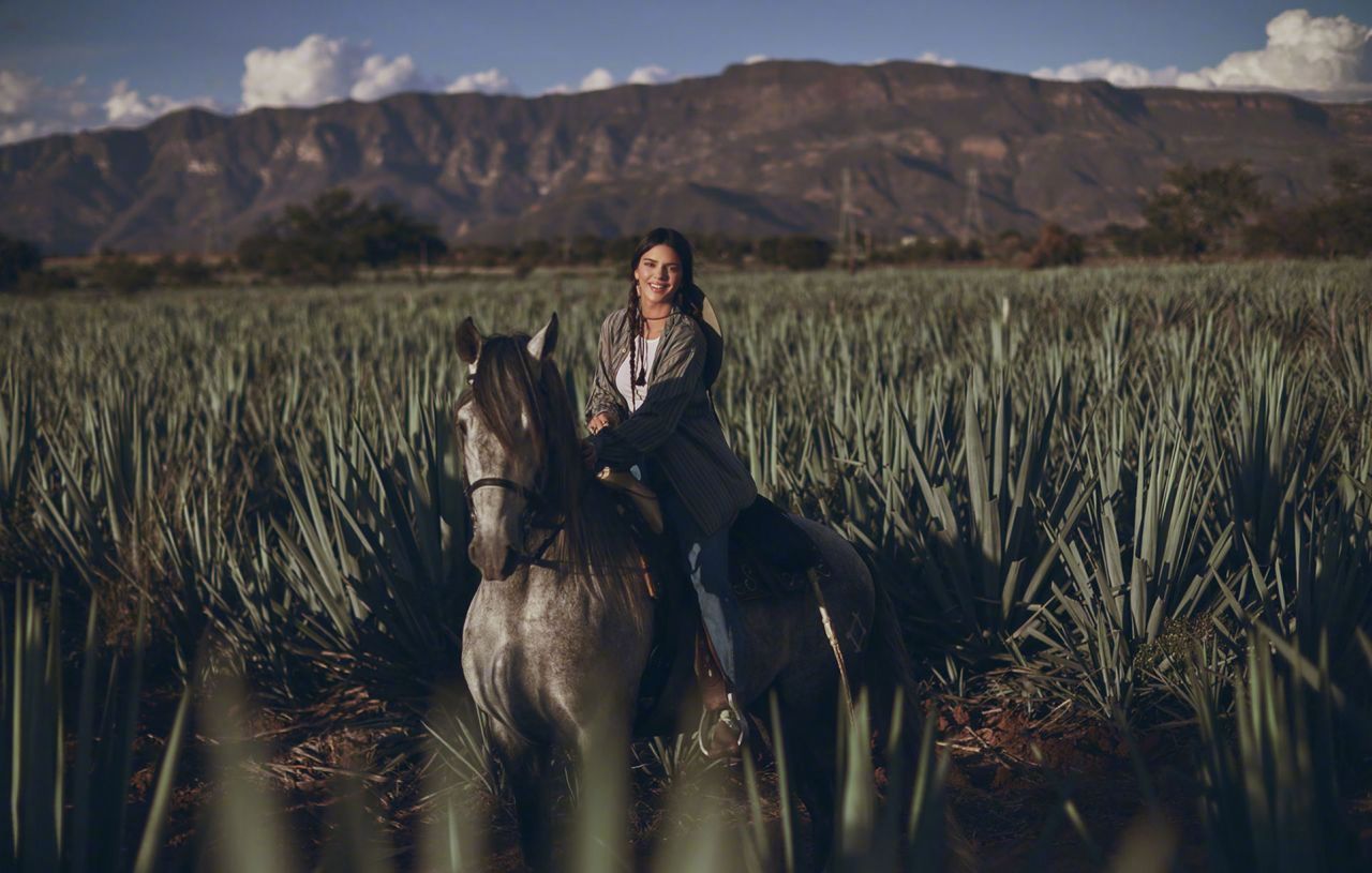 肯豆kendalljenner为自己的龙舌兰酒tequila818