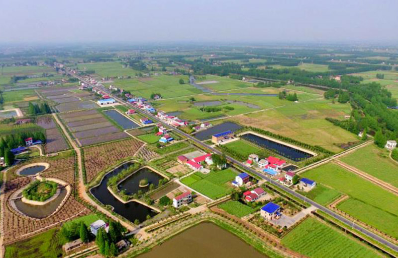 单位供图梅家洲村位于常德市安乡县三岔河镇中西部,东临藕池河,西抵虎