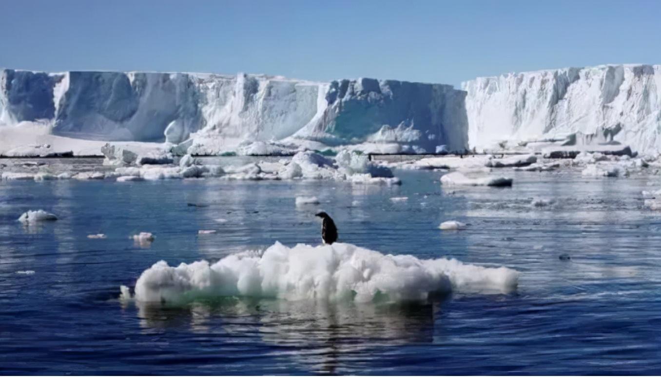 密密麻麻！英国海滩出现大量生物尸体，目击者：看完头皮发麻休闲区蓝鸢梦想 - Www.slyday.coM