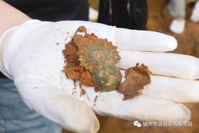 锦州发掘东北野战军烈士遗骸15具,将于9月30日集中安葬休闲区蓝鸢梦想 - Www.slyday.coM 锦州发掘东北野战军烈士遗骸15具,将于9月30日集中安葬休闲区蓝鸢梦想 - Www.slyday.coM