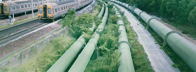 把出生就被判“死刑”的孩子养成世界冠军,这个妈妈经历了什么?休闲区蓝鸢梦想 - Www.slyday.coM 把出生就被判“死刑”的孩子养成世界冠军,这个妈妈经历了什么?休闲区蓝鸢梦想 - Www.slyday.coM