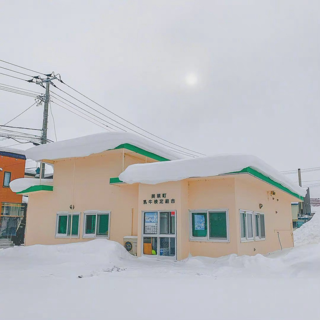 日本札幌的冬日雪景,由摄影师hi_dongwon用iphone拍摄
