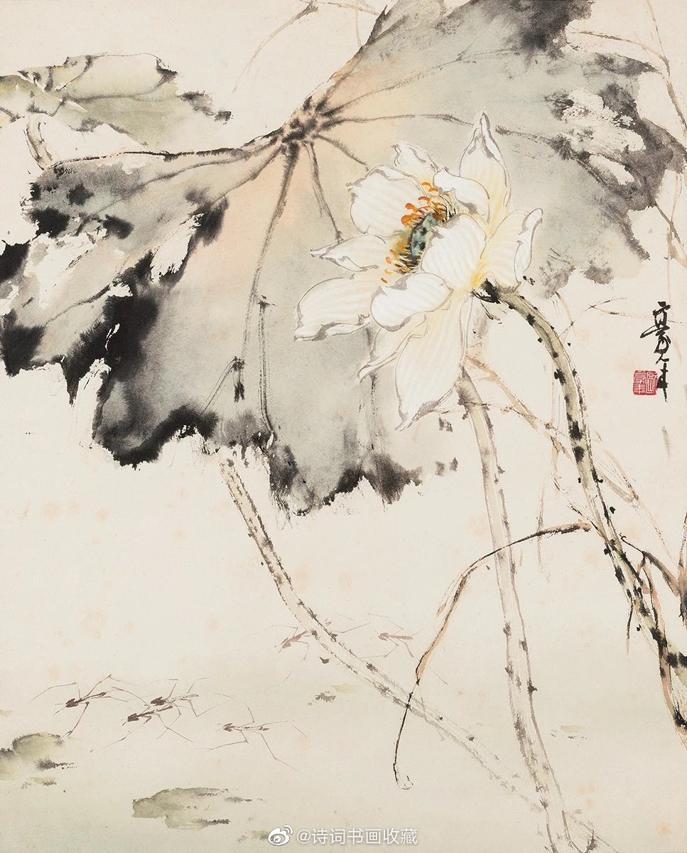 欧豪年笔下的清凉的荷花