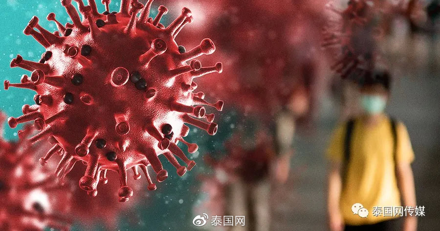 泰国|新冠肺炎_新浪新闻