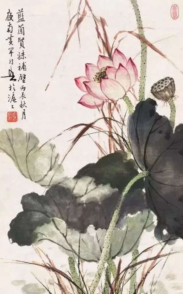 岭南名家黄幻吾笔下的荷花!