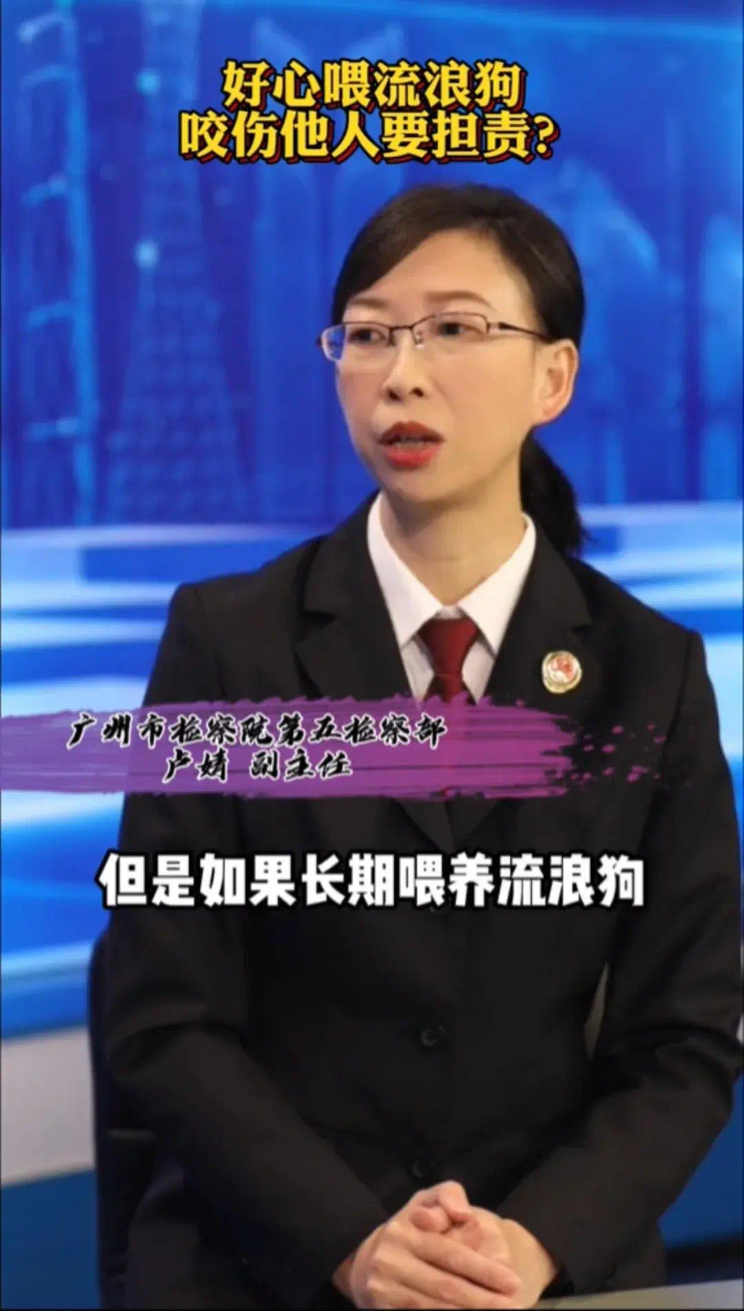 好心投喂了一个月的流浪狗意外咬伤他人，男子被邻居告上法庭！休闲区蓝鸢梦想 - Www.slyday.coM