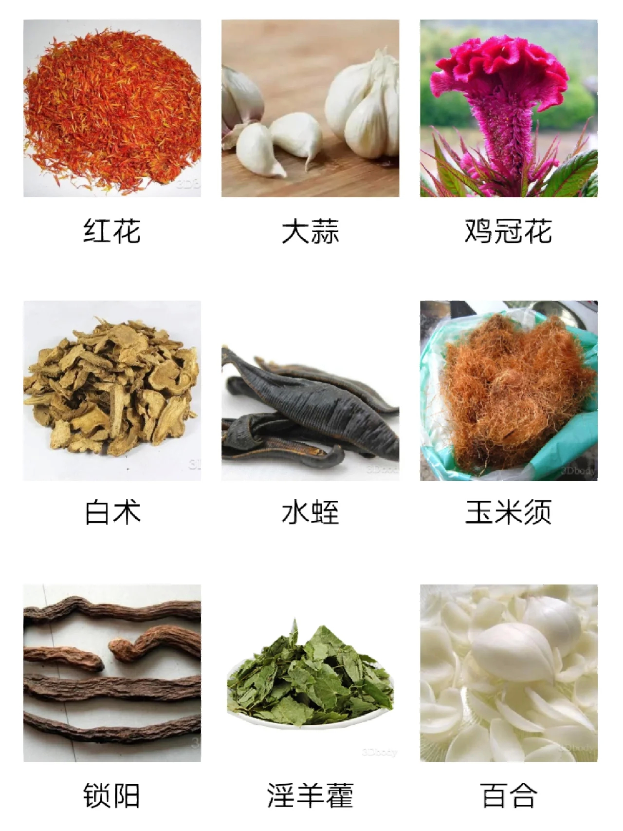 中草药图鉴……|图鉴|中草药_新浪新闻