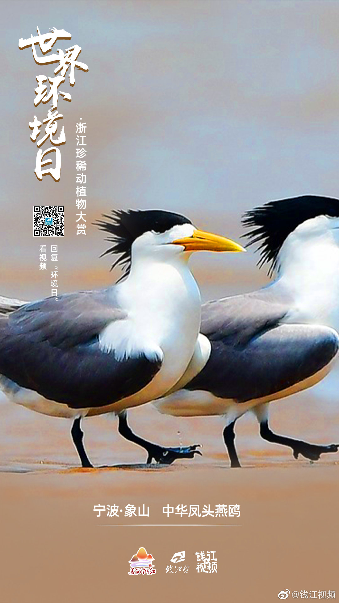 浙江作为全国首个生态省,绿水青山中隐藏着许许多多珍稀动植物,它们