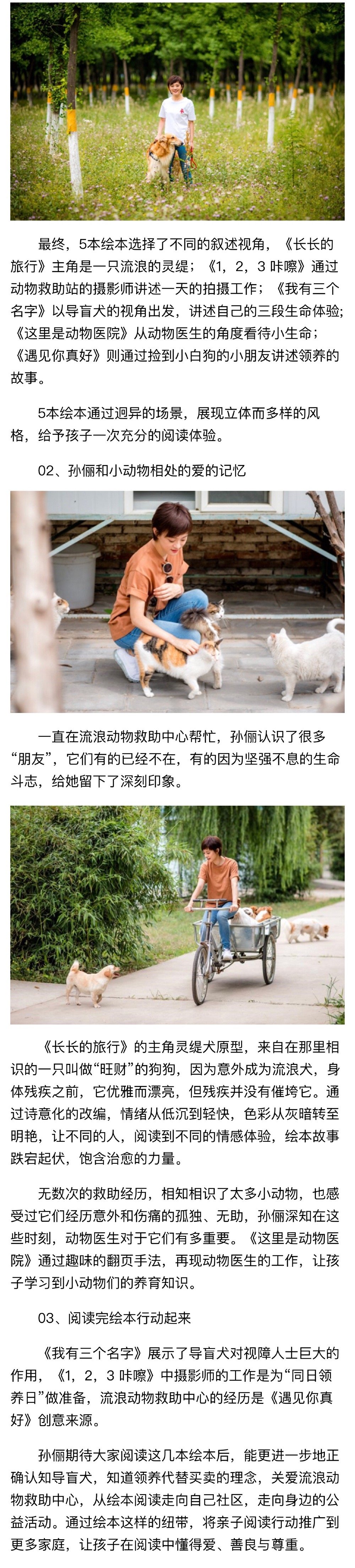 一只无家可归流浪街头的灵缇犬 犬瘟缠身被救助中心带了回去