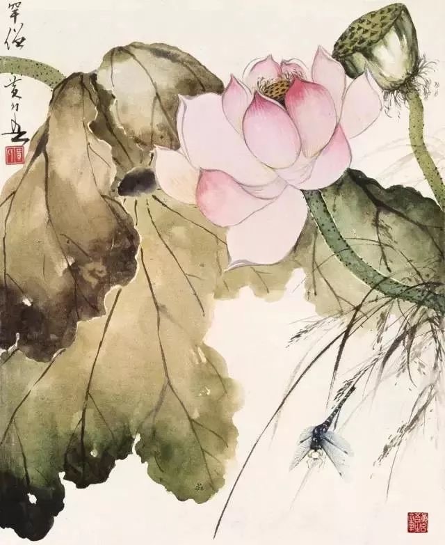 岭南名家黄幻吾笔下的荷花!