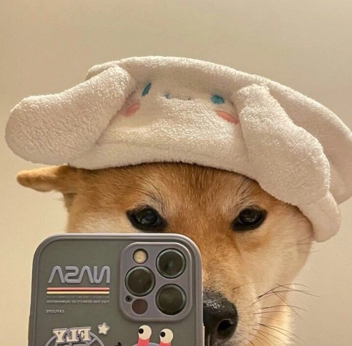 柴犬自拍头像