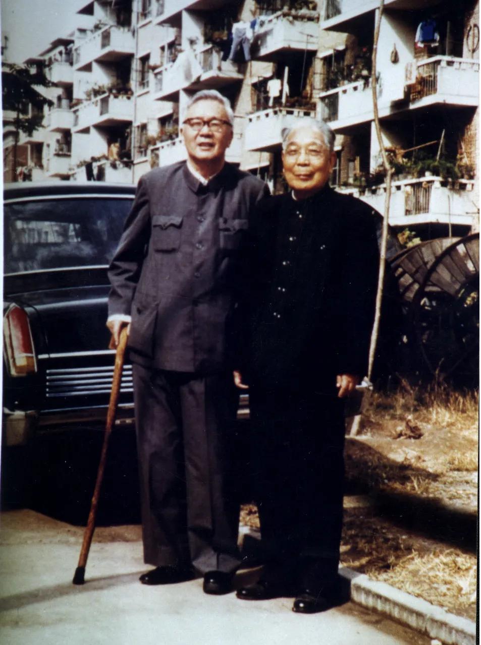 教师节拳拳师生情耄耋老人华罗庚与严济慈通信背后的故事