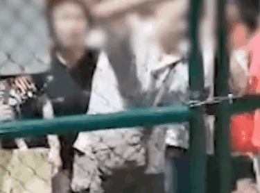 从“争抢”到“强征”,这群大爷大妈用铁锤砸碎小学生的足球梦休闲区蓝鸢梦想 - Www.slyday.coM 从“争抢”到“强征”,这群大爷大妈用铁锤砸碎小学生的足球梦休闲区蓝鸢梦想 - Www.slyday.coM