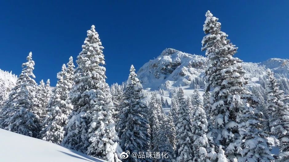 十一月终 十二月启 年 只剩最后31天 风吹雪花落