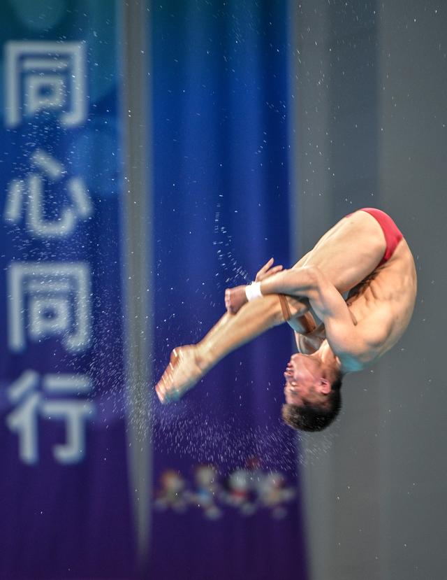 中国跳水队男运动员图片
