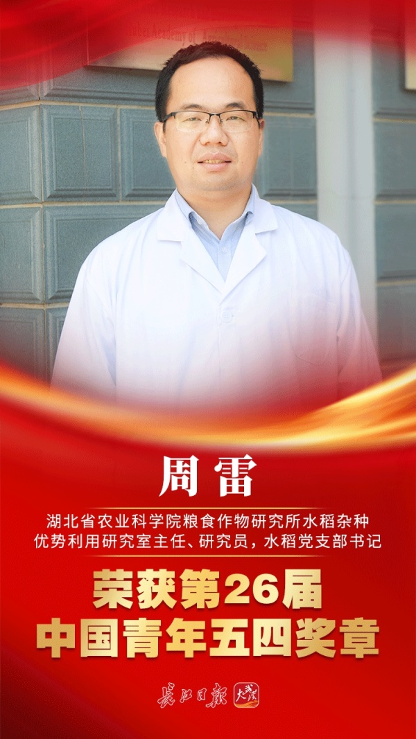 周雷从农村走出的博士再回田地种出国宝桥米
