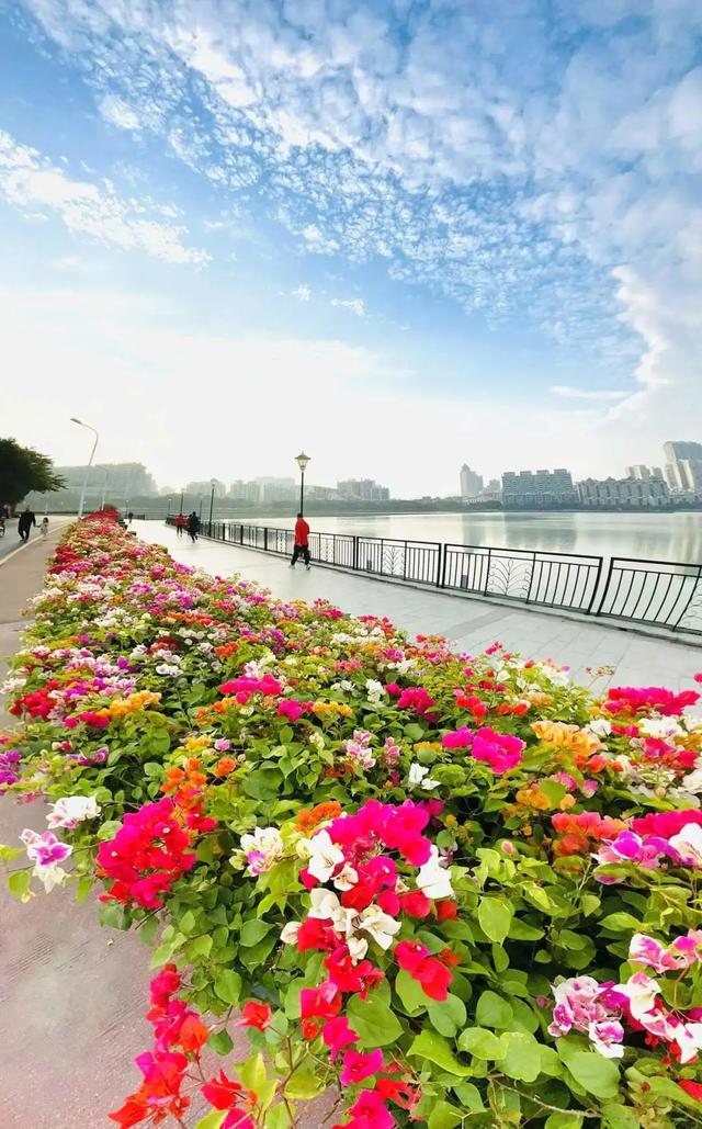 肇庆绝美“冬装”惊艳上线！错过了，就得再等一年……休闲区蓝鸢梦想 - Www.slyday.coM